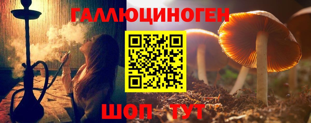 Галлюциногенные грибы MAGIC MUSHROOMS  Вход с VPN  магазин продажи   Иваново 